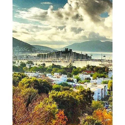 Aparts Hotel apartamentowy *