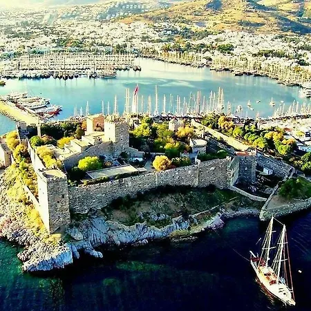 Aparts アパートホテル *