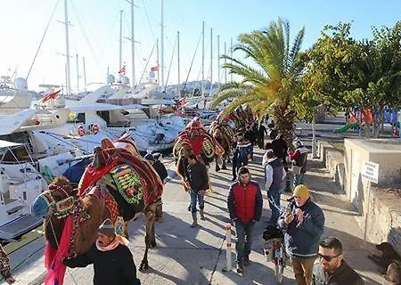 Aparts * グムベット